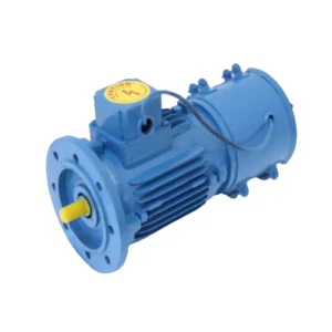 AC Brake Motor