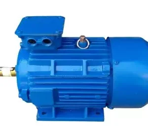 Three Phase Electric Motor